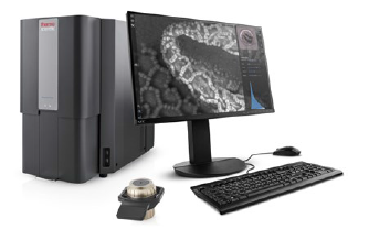 Desktop SEM